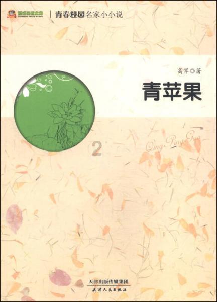 迷你汽车记忆卡